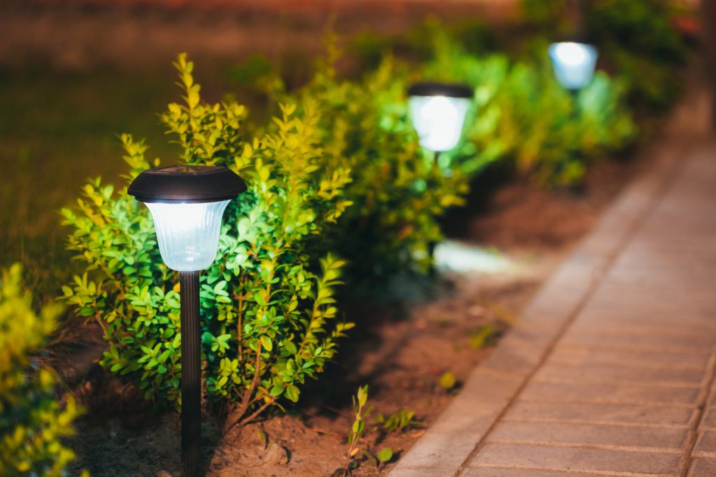Small outdoor lights between plants along a walkway.